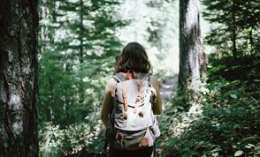 How Nature Can Support Your Mental Health