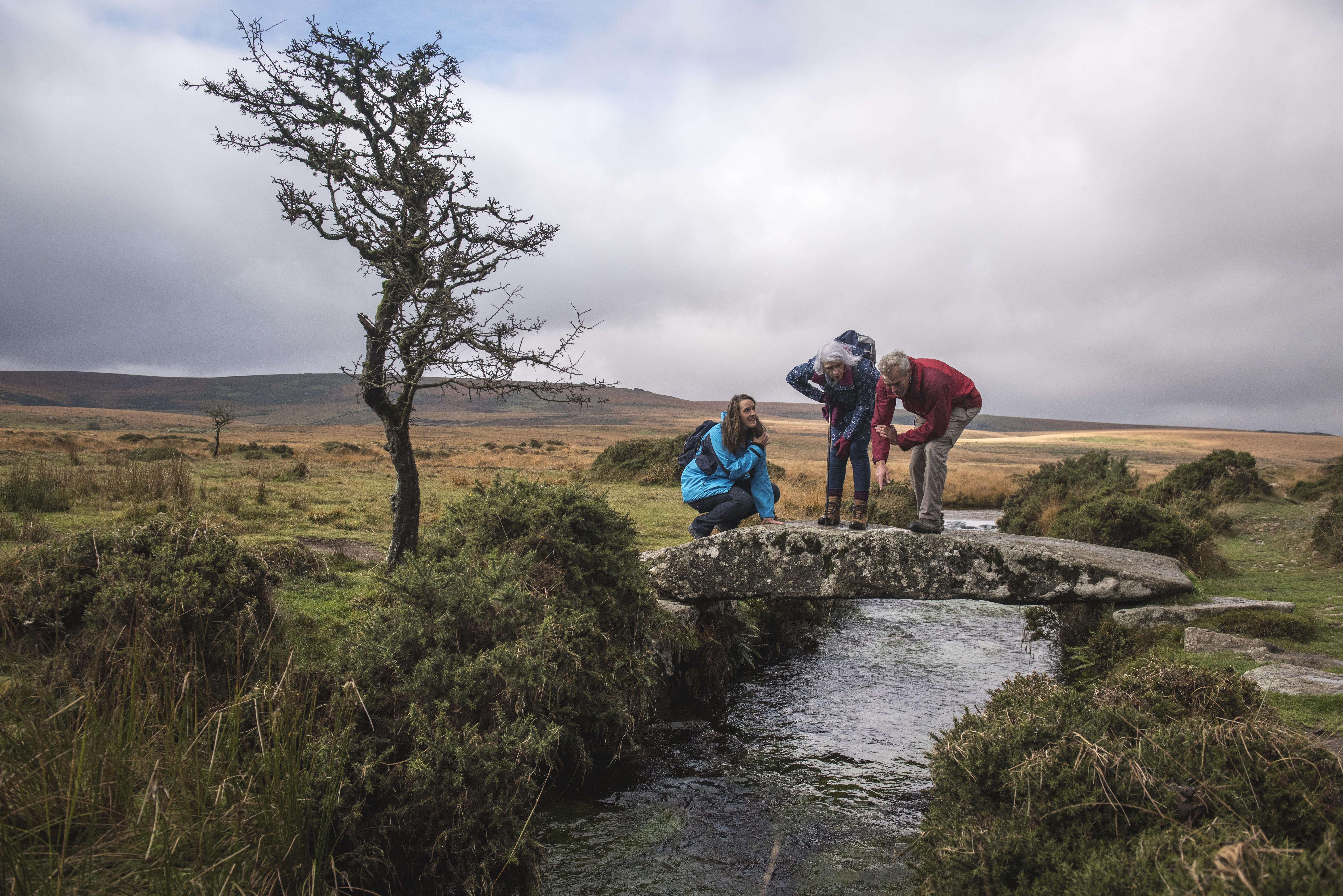 Dartmoors_Daughter_Bridge