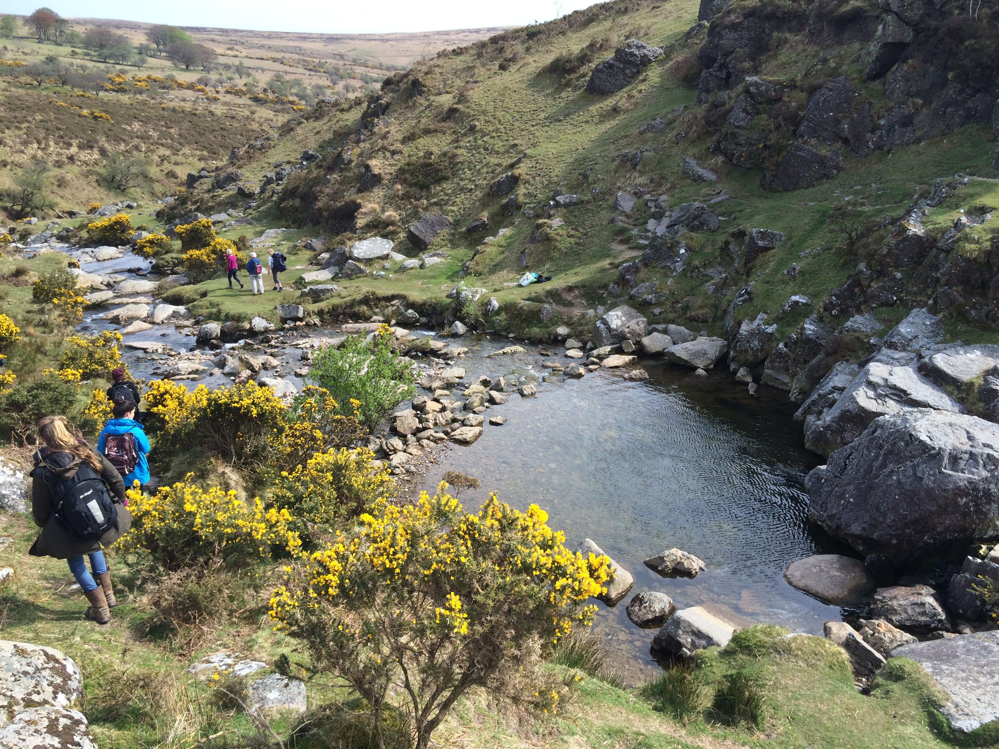 Dartmoors Daughter Walk Wild Swim6