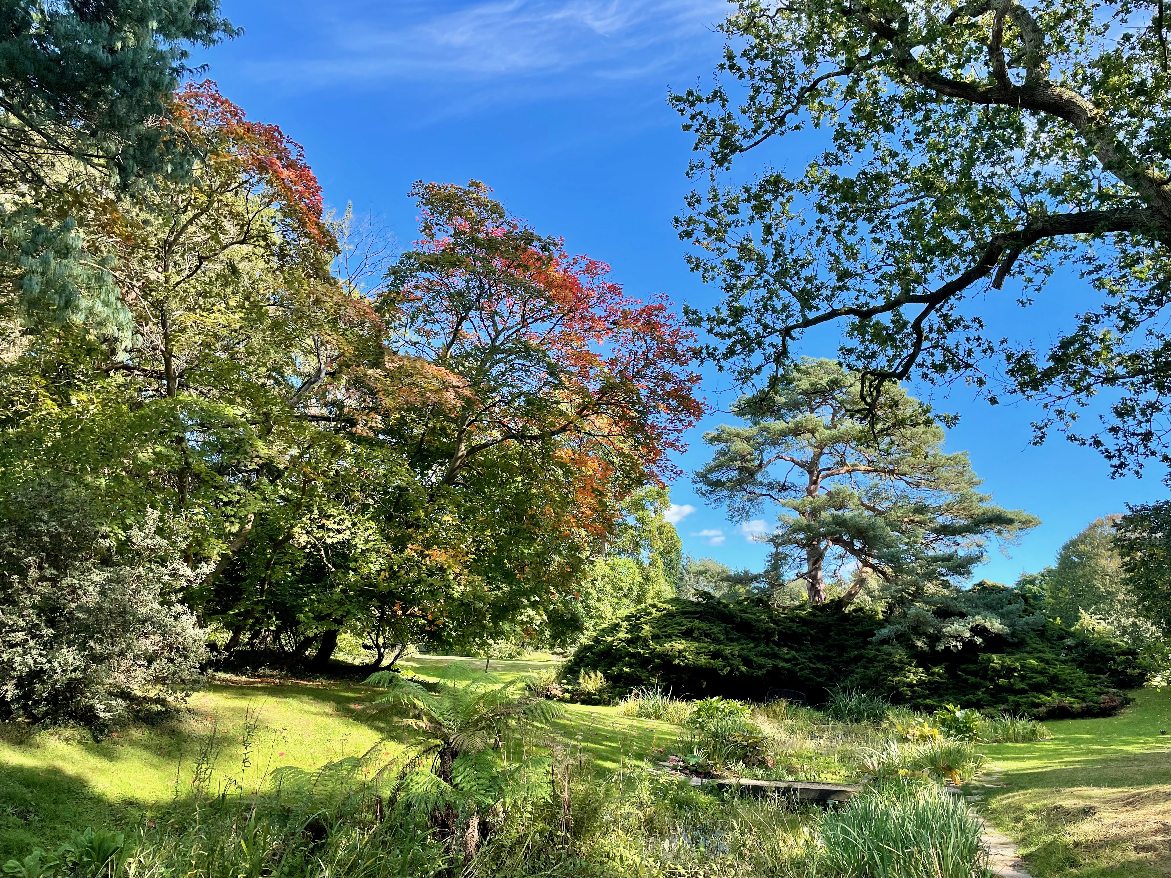 Naturebreak-Exbury-Green